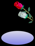 une rose triste